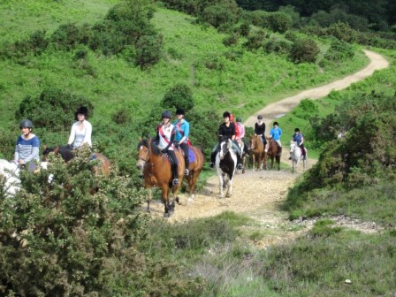 Riding in the New Forest 